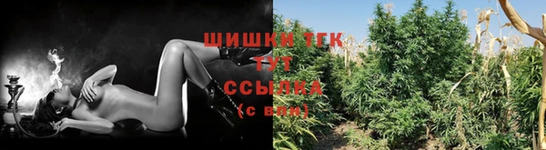 тгк Арсеньев