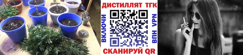 закладка  Унеча  ТГК вейп 