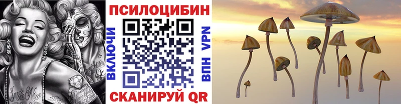 Псилоцибиновые грибы GOLDEN TEACHER MEGA как зайти Унеча