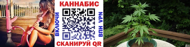 Бошки марихуана OG Kush  цены наркотик  Унеча 